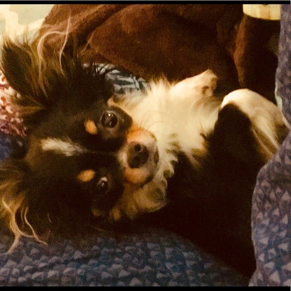 Meet your Posher, Kathleen - Picture 2 of 3